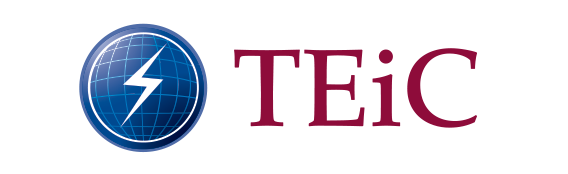 TEiC Logo – Home Slider TEiC