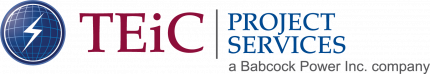 14876_teic_project_serv_logo TEiC Project Services Logo
