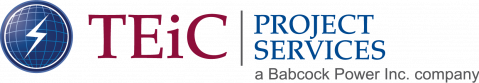 14876_teic_project_serv_logo TEiC Project Services Logo